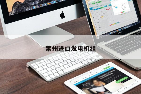 萊州進(jìn)口發(fā)電機(jī)組