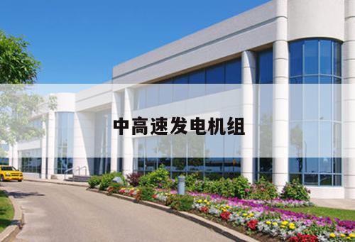 中高速發(fā)電機組