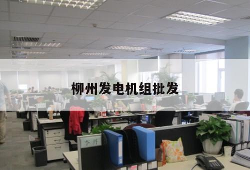 柳州發電機組批發